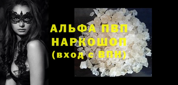 эйфоретик Богданович