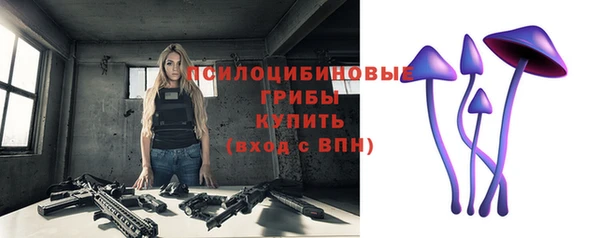 бутират Богородицк