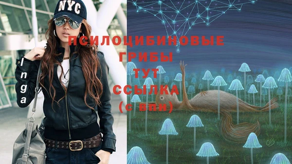 синтетический гашиш Белокуриха