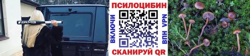 Галлюциногенные грибы GOLDEN TEACHER  Бор 