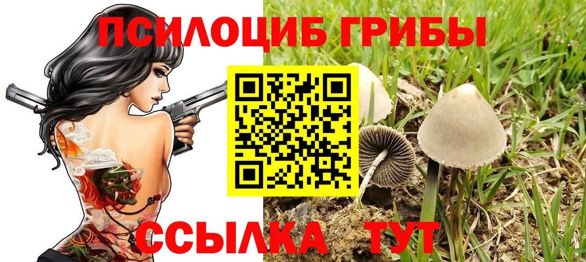 Галлюциногенные грибы мицелий  Псилоцибиновые грибы GOLDEN TEACHER  Бор  Вход с VPN 