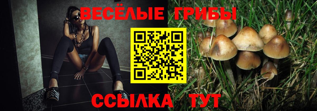 Галлюциногенные грибы GOLDEN TEACHER Бор